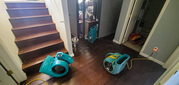 Best Professional water damage repair  in Buena, NJ