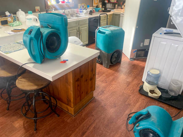 Best Water damage restoration specialists  in Buena, NJ