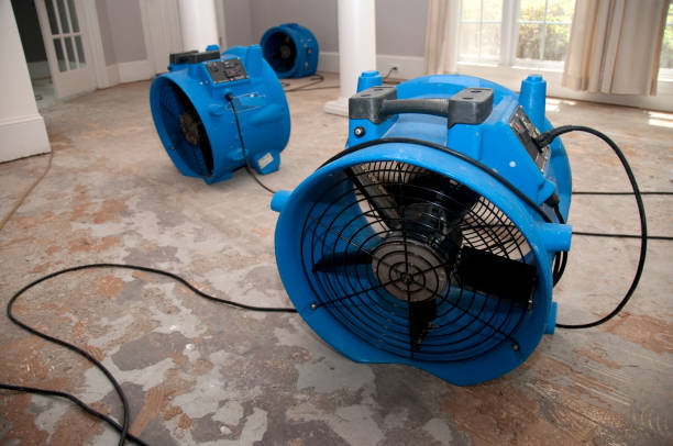 Best Carpet water damage restoration  in Buena, NJ