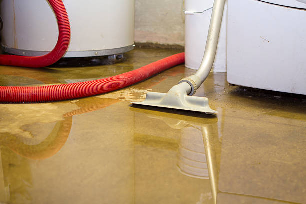 Best Water damage restoration cost  in Buena, NJ