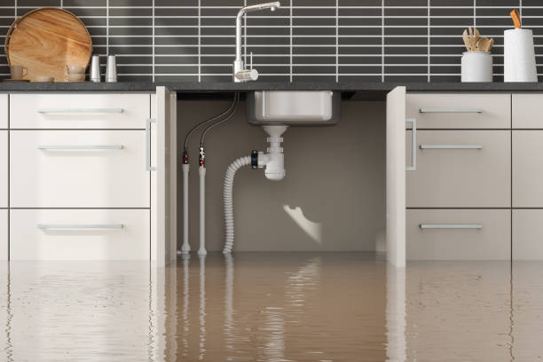 Best Flooded house restoration  in Buena, NJ